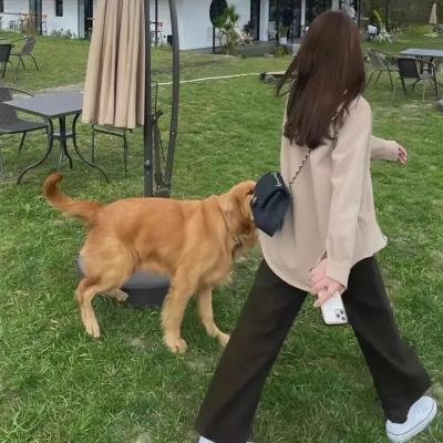 惊蛰无声详细介绍
